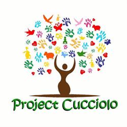 Scuola Il Cucciolo, Torino orari di apertura