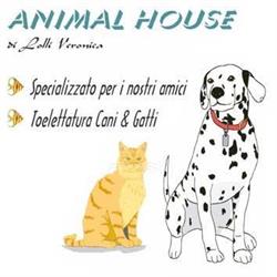 Animal House, Bologna orari di apertura