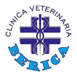 Clinica Veterinaria Berica, Vicenza orari di apertura
