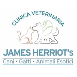 Clinica Veterinaria James Herriot, Velletri orari di apertura