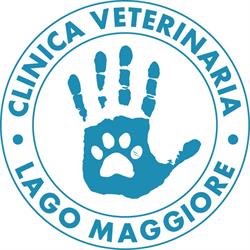 Clinica Veterinaria Lago Maggiore, Dormelletto orari di apertura