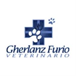 Gherlanz Dott. Furio Medico Veterinario, Trieste orari di apertura
