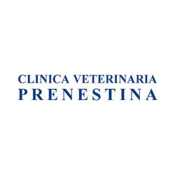 Clinica Veterinaria Prenestina Pronto Soccorso Veterinario - BluVet, Roma orari di apertura