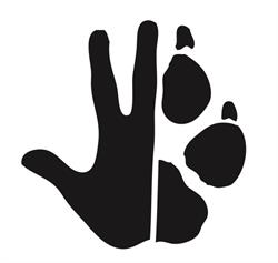 Clinica Veterinaria della Tuscia, Montefiascone orari di apertura