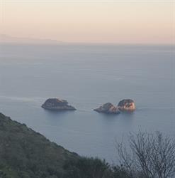 Fattoria Marecoccola, Sorrento orari di apertura