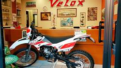 Autoscuola Velox, Siena orari di apertura