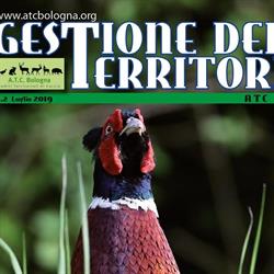 A.t.c. Ambiti Territoriali di Caccia, Bologna orari di apertura