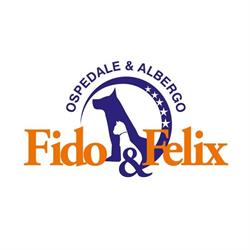 Fido & Felix - Clinica Veterinaria, Frattaminore orari di apertura