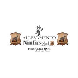 Pensione x cani Ninfa Nobel, Tavullia orari di apertura