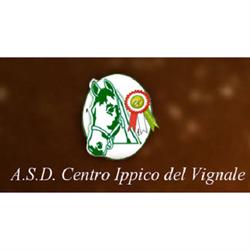 Centro Ippico del Vignale, Casarile orari di apertura