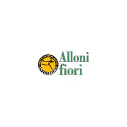 Alloni Fiori, Brescia orari di apertura