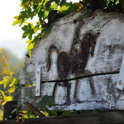 Agriturismo Ca'Borgh, San Pietro di Feletto orari di apertura