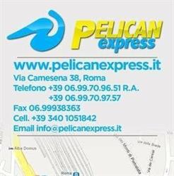 Pelican Express Courier - Pony Express - Corriere Espresso Roma, orari di apertura