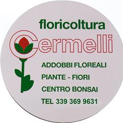 Floricoltura Cermelli, Castellazzo Bormida orari di apertura