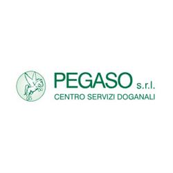 Pegaso Srl - Centro Servizi Doganali, Prato orari di apertura