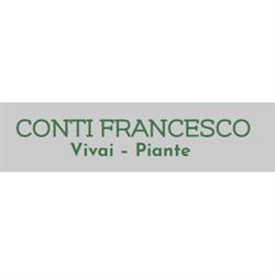 Conti Francesco Vivai - Piante, Ostra Vetere orari di apertura