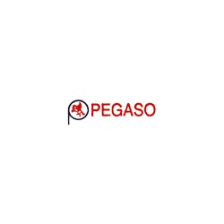 Pegaso Soc. Coop. Rl, Livorno orari di apertura