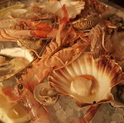 Ristorante Delfino, Orzinuovi orari di apertura