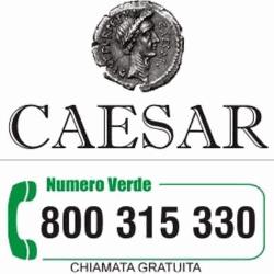 Caesar Traduzioni Professionali, Tecniche e Giurate, Roma orari di apertura