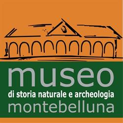 Museo Di Storia Naturale e Archeologia Di Montebelluna, orari di apertura