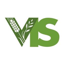 Volontariato Internazionale Per Lo Sviluppo (Vis), Roma orari di apertura