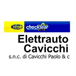 Elettrauto Cavicchi di Cavicchi Paolo & C. s.n.c., Ferrara orari di apertura