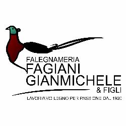 Falegnameria Fagiani Gianmichele & Figli, Almenno San Bartolomeo orari di apertura
