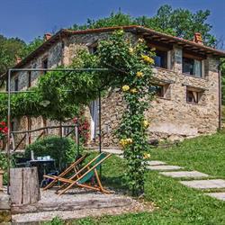 Fattoria di Pietrabuona, Pescia orari di apertura
