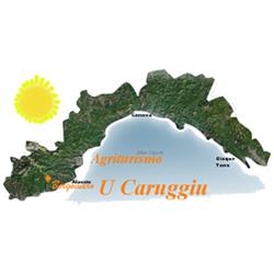 Agriturismo U Caruggiu, Borgomaro orari di apertura