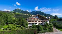 Weger, Tirolo orari di apertura