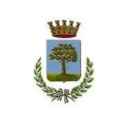 Comune Di Bovolone, orari di apertura