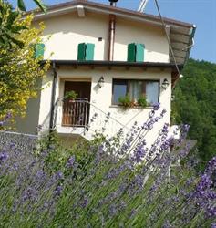 Solo Per Quattro Bed & Breakfast, Zocca orari di apertura