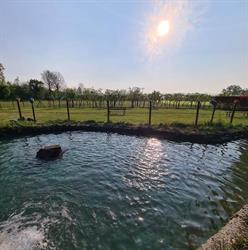 azienda agricola cà del lupo, Palazzolo sull'Oglio orari di apertura