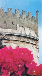 Società Cooperativa Florovivaistica Del Lazio, Roma orari di apertura