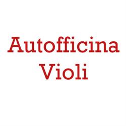 Nuova Autofficina Violi di Centolanza Michele, Pieve a Nievole orari di apertura