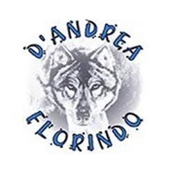 D'Andrea Florindo Srl, Cordenons orari di apertura