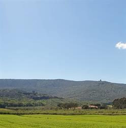 Agriturismo Fusini, Magliano in Toscana orari di apertura
