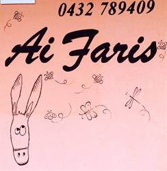 Ai Faris, Attimis orari di apertura