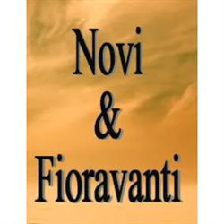 Autofficina Novi Fioravanti - Specializzata Nissan e Autofficina Multimarche, Ascoli Piceno orari di apertura