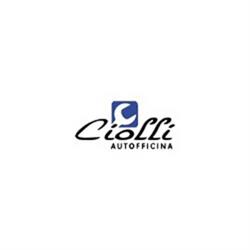 Blu Ciolli Officina Ford di Claudia e Maurizio Ciolli e C, Ardenza orari di apertura