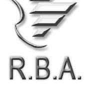 R.b.a. Ceramiche Snc, Biella orari di apertura