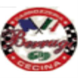 Carrozzeria Berrugi, Cecina orari di apertura