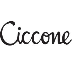Ciccone car, Foggia orari di apertura