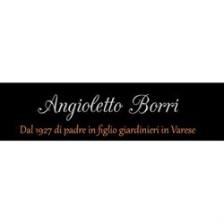 Angioletto Borri, Morazzone orari di apertura