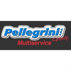 Pellegrini Group Multiservice Auto, Montepulciano orari di apertura