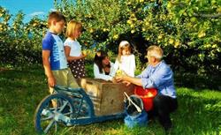 Agritur Leita Ville d'Anaunia, Tuenno - Orari di apertura