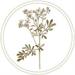 Agriturismo Colle della Ruta, Lentella orari di apertura
