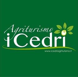 Agriturismo I Cedri, Orsomarso orari di apertura