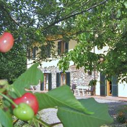 Agriturismo Il Gelso Santa Luce, Pomaia - Orari di apertura