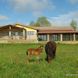 agriturismo l.b.STUD, Bracciano orari di apertura